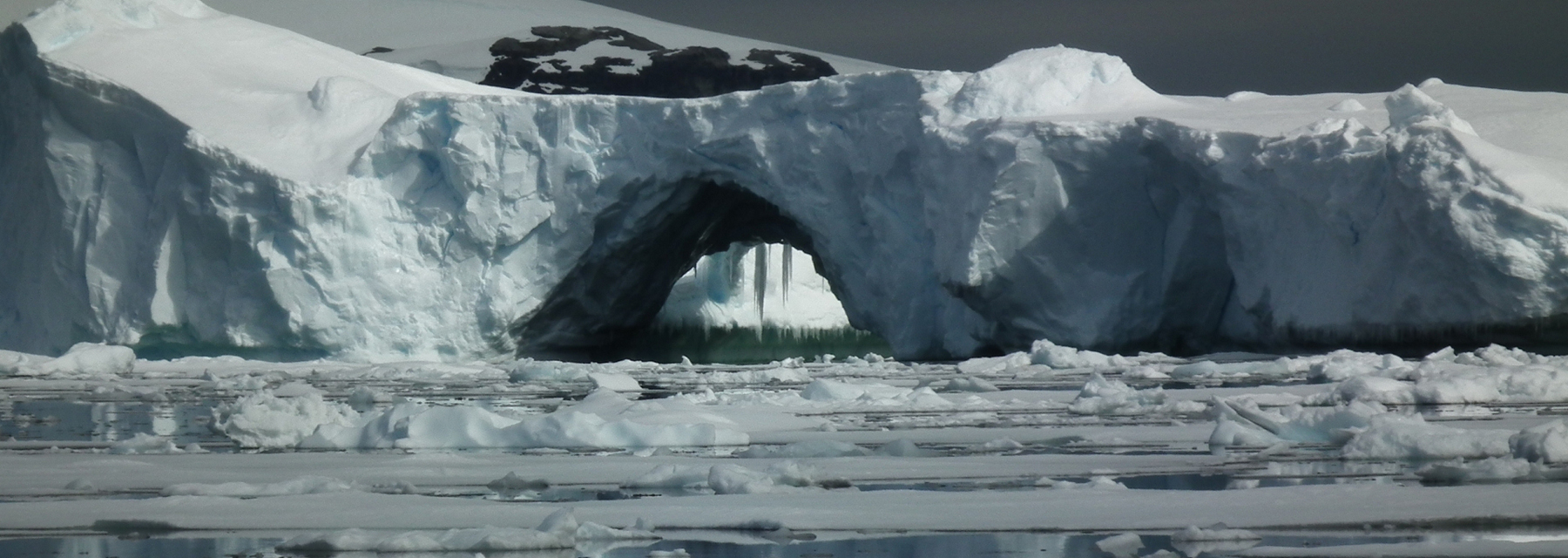 Antarctique7